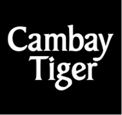Cambay Tiger